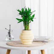 Self-watering hydroponic plant pot, view 4 - MRSLM