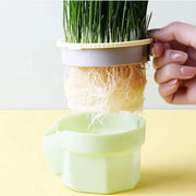 Cat grass growing cup, view 6 - MRSLM