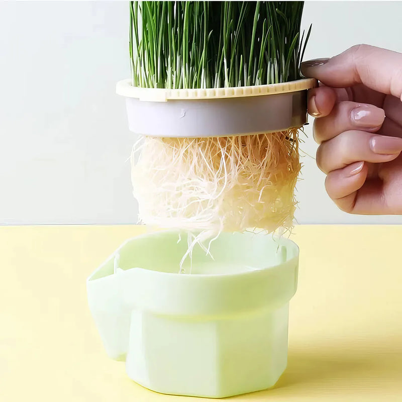 Cat grass growing cup, view 6 - MRSLM