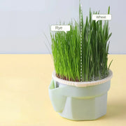 Cat grass growing cup, view 7 - MRSLM
