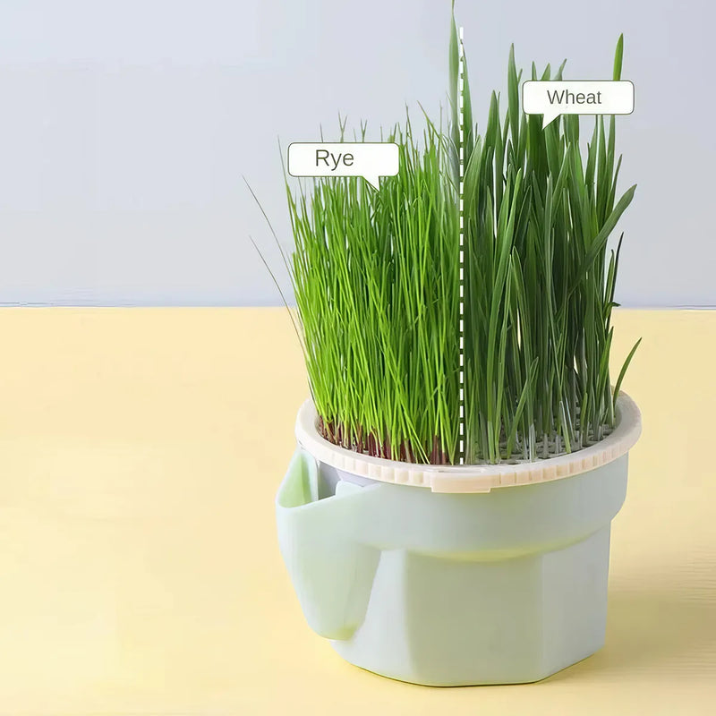 Cat grass growing cup, view 7 - MRSLM