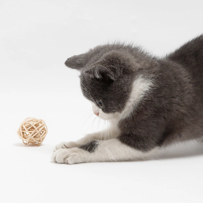 rattan ball and feather bell cat toy set, view 3 - MRSLM
