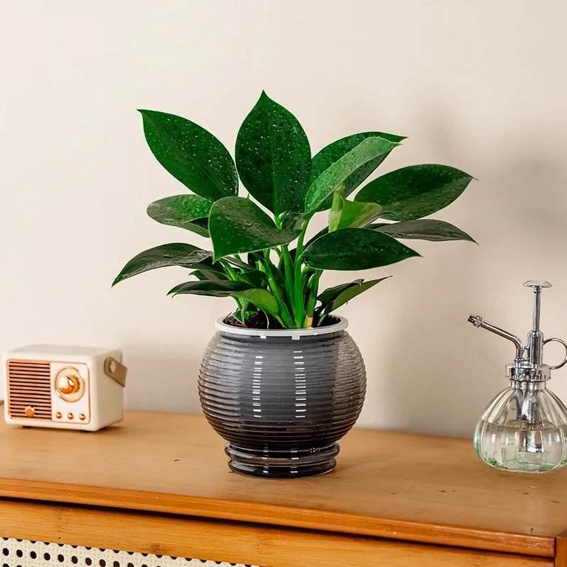 self-watering succulent planter, view 6 - MRSLM