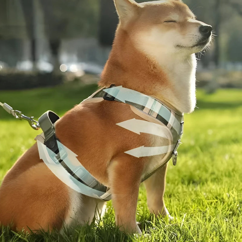 adjustable reflective dog harness with leash, view 7 - MRSLM