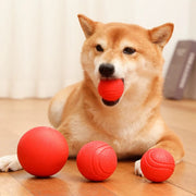 bouncy rubber dog training ball - MRSLM
