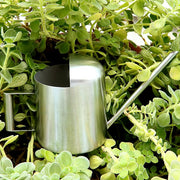 stainless steel watering can, view 6 - MRSLM