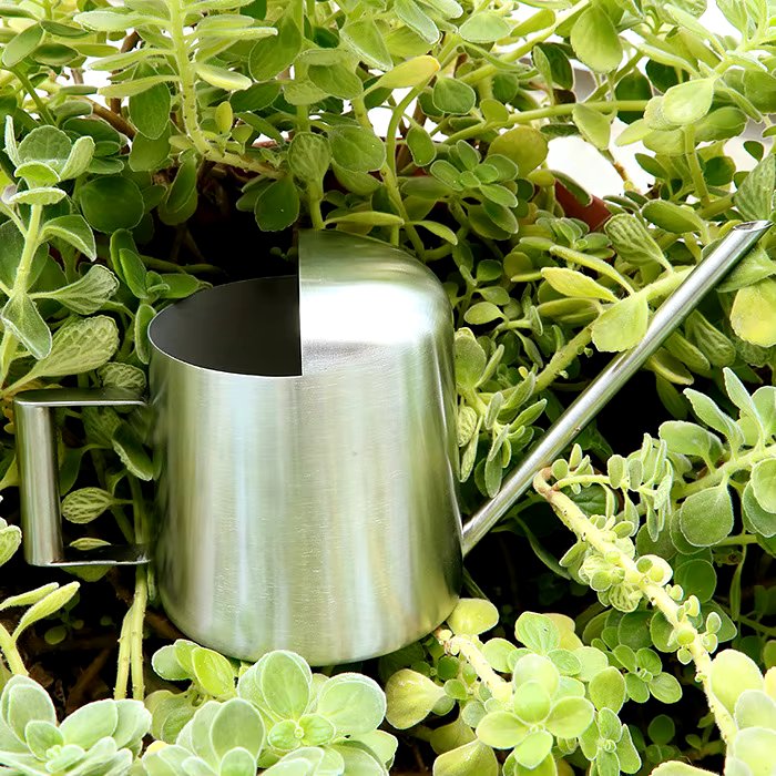 stainless steel watering can, view 6 - MRSLM