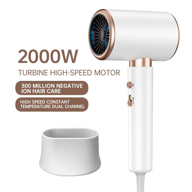 2200W Professional Ionic Hair Dryer