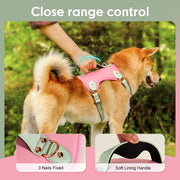 comfort fit pu leather dog harness, view 4 - MRSLM