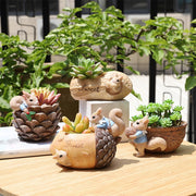 cartoon squirrel succulent flower pot, view 7 - MRSLM