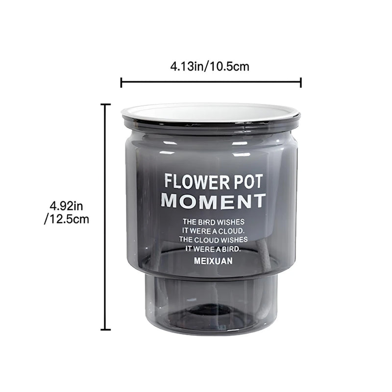 self-watering transparent succulent planter, view 3 - MRSLM