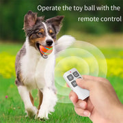 remote control pet ball, view 5 - MRSLM