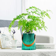 self-watering succulent planter, view 4 - MRSLM