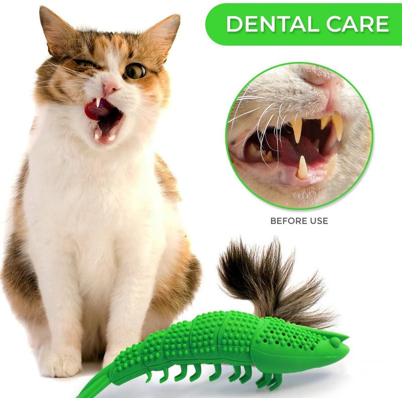 interactive cat toothbrush chew toy, view 8 - MRSLM