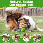 interactive dog soccer ball with straps, view 5 - MRSLM