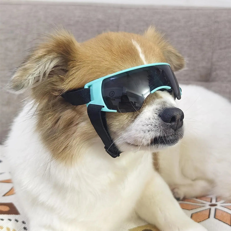 small dog sunglasses, view 8 - MRSLM