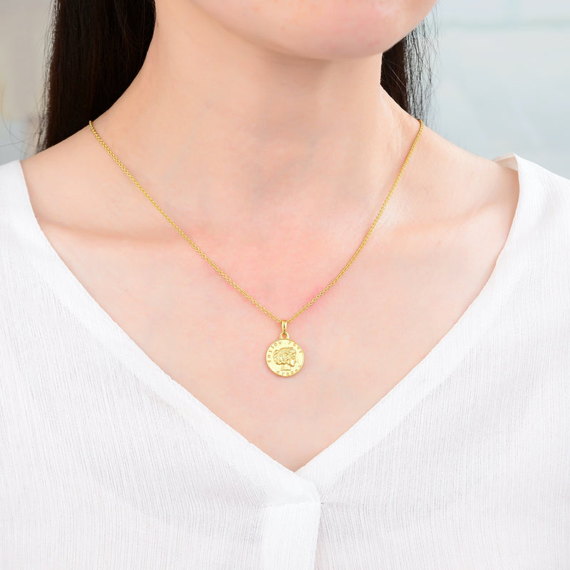 Princess head coin gold plated necklace, view 4 - MRSLM