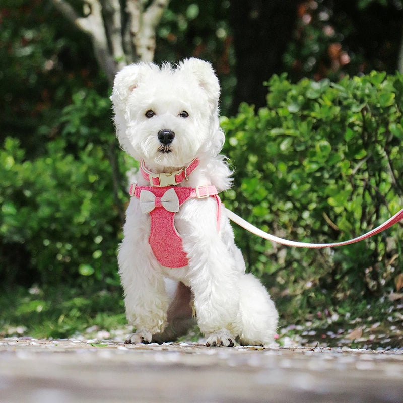 adjustable bowtie collar, leash and harness set - MRSLM