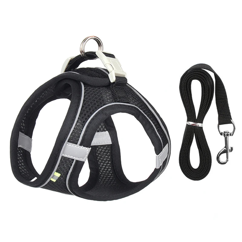 mesh harness and leash set, view 24 - MRSLM