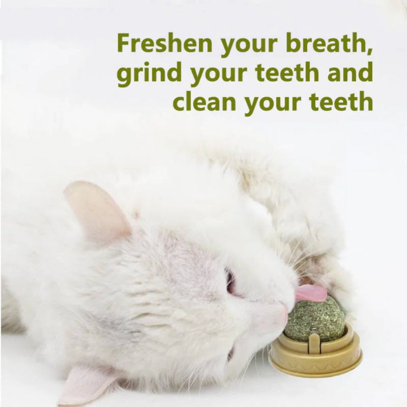 catnip toy balls, view 5 - MRSLM