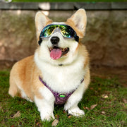 dog sunglasses windproof goggles, view 13 - MRSLM
