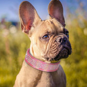bling rhinestone dog collar, view 6 - MRSLM