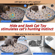 interactive electric cat toy, view 5 - MRSLM
