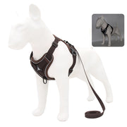 no-pull dog harness and leash set, view 23 - MRSLM