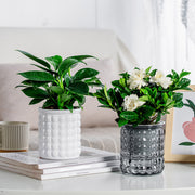 Self-watering hydroponic succulent planter, view 7 - MRSLM