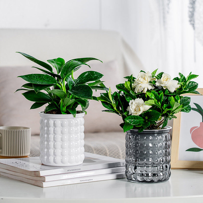 Self-watering hydroponic succulent planter, view 7 - MRSLM