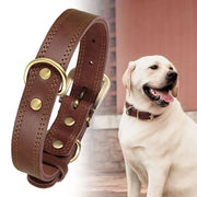 genuine leather dog collar, view 4 - MRSLM