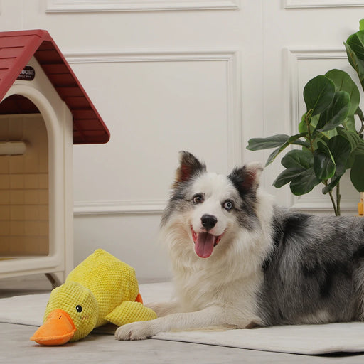 plush duck dog toy with squeaker - MRSLM