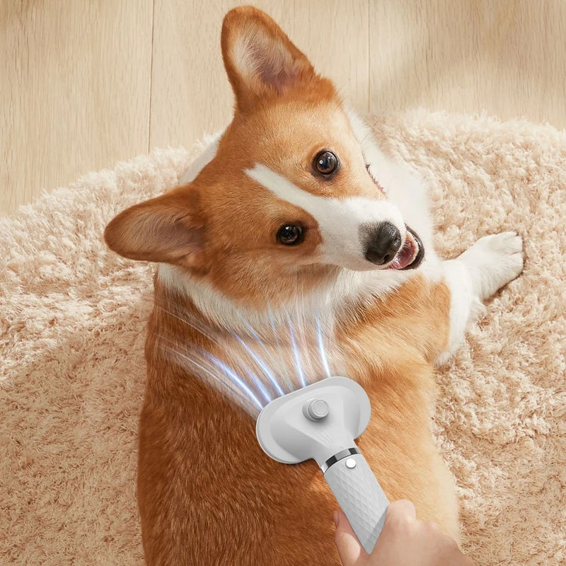 2 in 1 Pet Hair Dryer and Comb