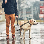 reflective bungee dog leash, view 3 - MRSLM