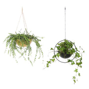 iron hanging flower pot, view 5 - MRSLM