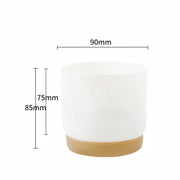 double-layer self-watering succulent plant pot, view 2 - MRSLM