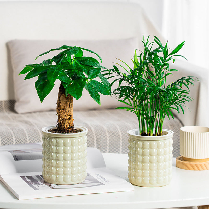 Self-watering hydroponic succulent planter, view 8 - MRSLM