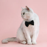 pearl cat and small dog collar, view 5 - MRSLM