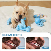 interactive dog chew toy set, view 3 - MRSLM