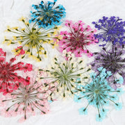 3d dried flower nail art decorations, view 15 - MRSLM