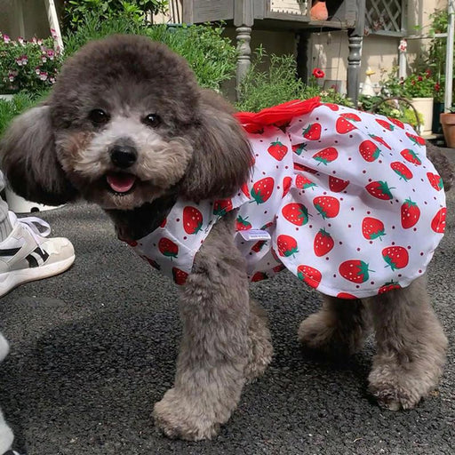 bowknot dog dress - MRSLM