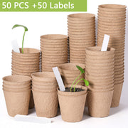 Biodegradable paper nursery pots and plant labels set, view 2 - MRSLM