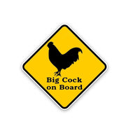 Warning sign car decal, view 2 - MRSLM