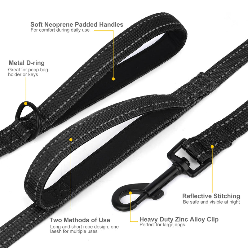 double handle nylon dog leash, view 9 - MRSLM