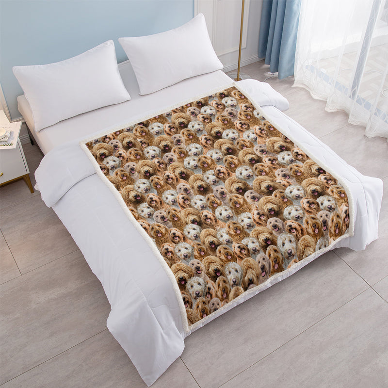 Cockapoo sherpa fleece throw blanket, view 9 - MRSLM
