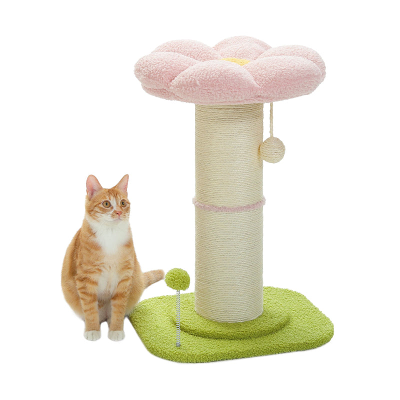 small cat scratching post with sisal and spring ball - MRSLM