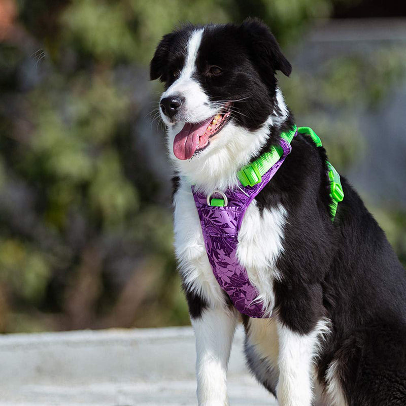 Reflective Camouflage Dog Harness with Aviation Aluminum Buckle
