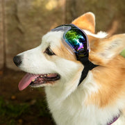 dog sunglasses windproof goggles, view 14 - MRSLM
