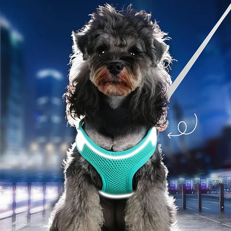 reflective dog harness vest, view 5 - MRSLM