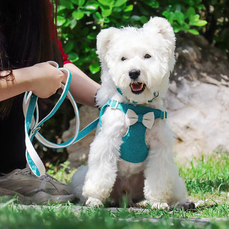 quick release dog collar harness and leash set - MRSLM